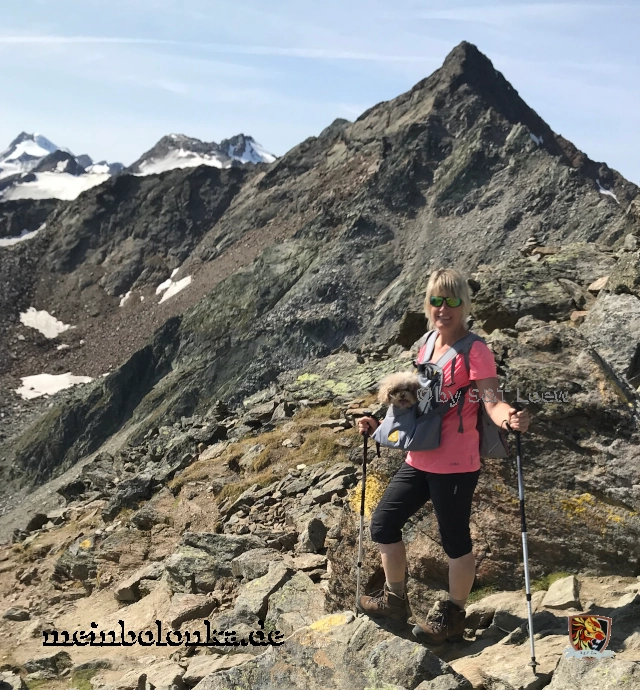 mit Bolonka Zwetna im Hochgebirge mit Hilfe eines Hunderucksacks